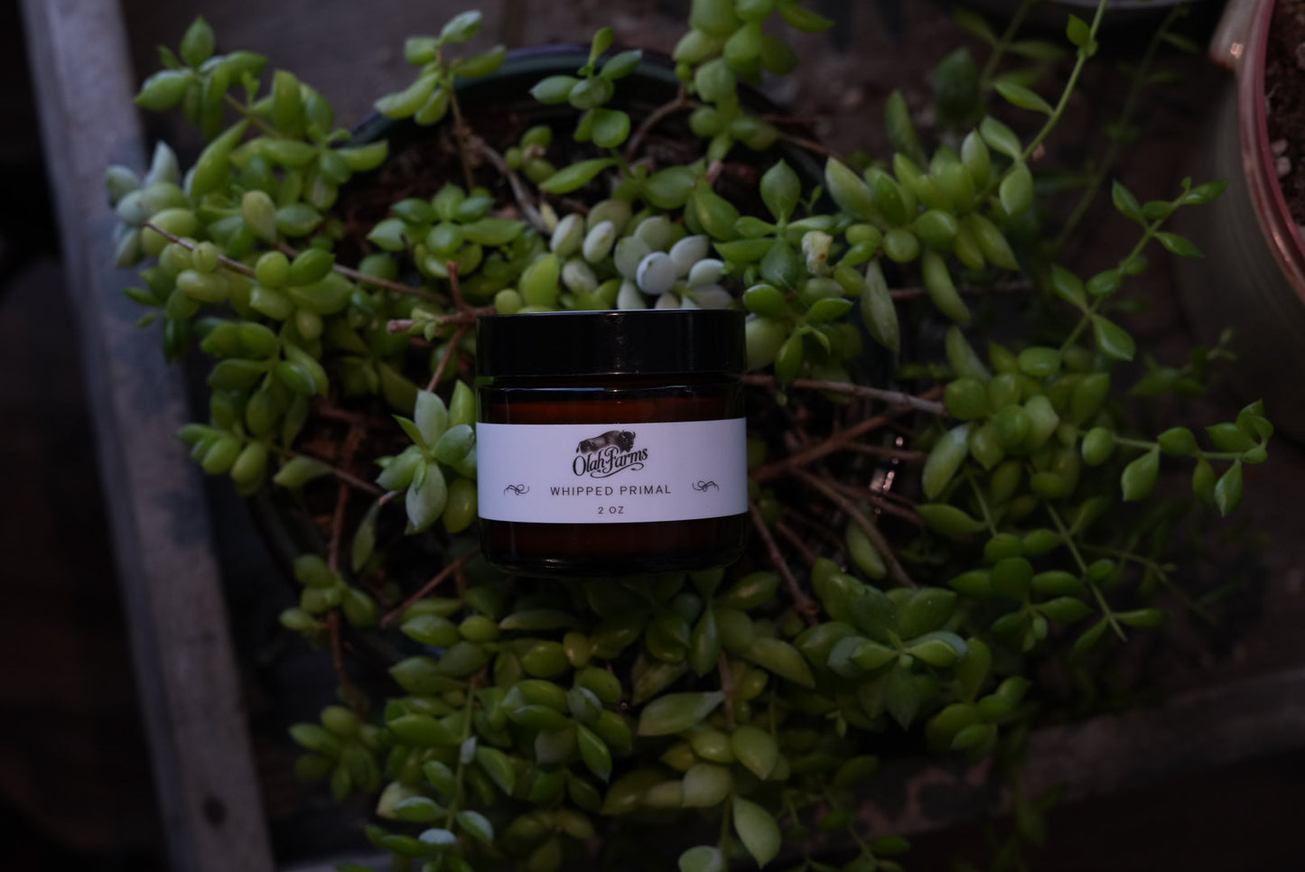 Primal Body Butter