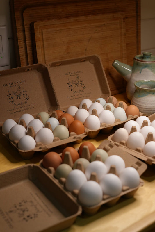 Ruby’s Eggs